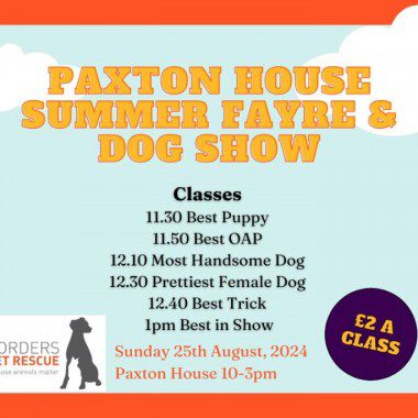 Paxton House Dog Fayre